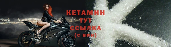 стаф Верея