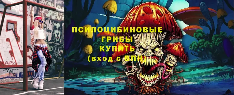 Псилоцибиновые грибы Psilocybe  что такое   Мурманск 